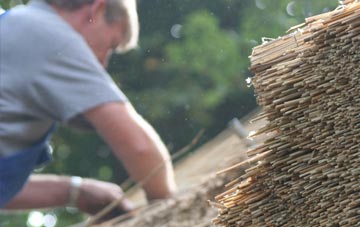 professional Southwick thatchers